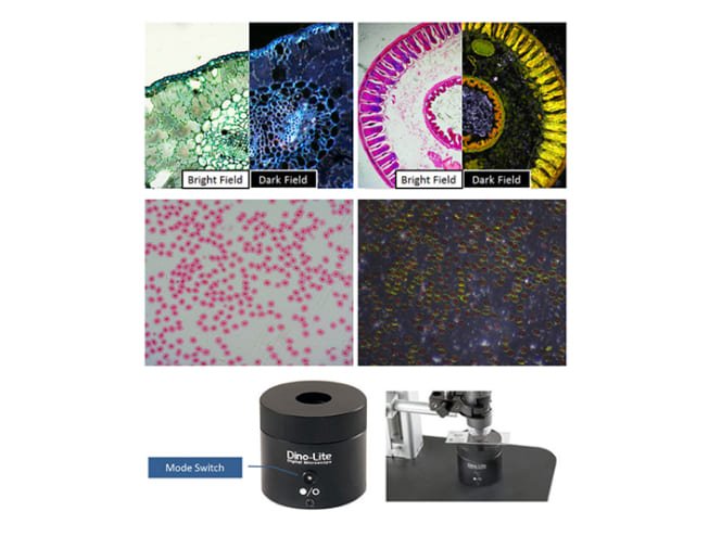 Dino-Lite Backlight Illuminator BL-CDW