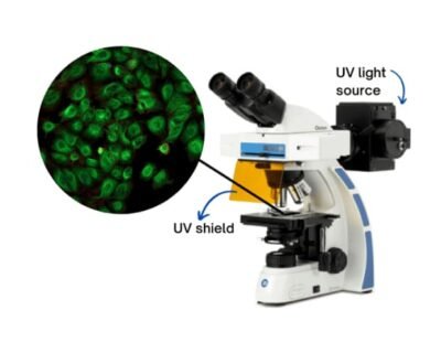 Euromex Fluorescence Microscope Oxion OX.3070