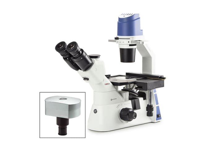Euromex Inverted Microscope Oxion Inverso OX.2253-PLPHF