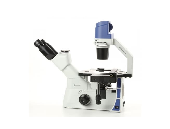 Euromex Inverted Microscope Oxion Inverso OX.2253-PLPHF