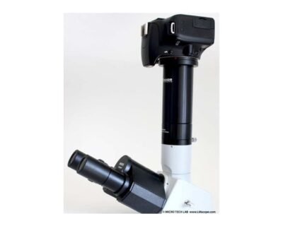 Euromex Novex Microscope B & B+ Series
